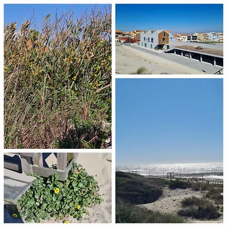 住宿加早餐酒店 Vermar 托雷拉